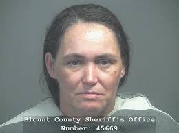 DURMER, LILLIAN ELIZABETH Charges: DRUG/RECOVERY COURT SANCTIONS This  information and more is available https://apps.myocv.com/share/a95737804