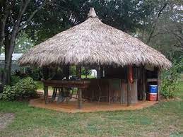 Maybe you would like to learn more about one of these? Suncoast Tiki Huts Odessa Fl Tiki Huts Tiki Bars Backyard Tiki