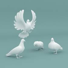 Dove 3d Max Doves 3d Model Max