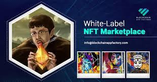 Is Nft A Springtime For Ip Protection Or A Capital Scam Coinyuppie Bitcoin Ethereum Metaverse Nft Dao Defi Dogecoin Crypto News