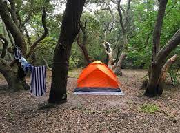 Maybe you would like to learn more about one of these? Where To Camp In Virginia Beach This Fall