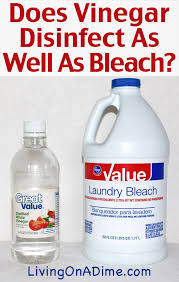 Does Vinegar Disinfect As Well As Bleach Living On A Dime