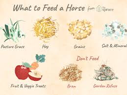 Foods that start with v daily values are based on 2000 calorie diet and 155 lbs (70 kg) body weight (change). Common Feeds For Horses