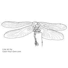 Select from 35919 printable crafts of cartoons, nature, animals, bible and many more. Dragonfly Coloring Page