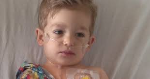 OTHER Trip Report 11/04/2014