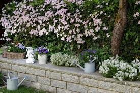 We did not find results for: Maintaining Clematis Expert Tips For Watering Cutting And Fertilizing Gardender