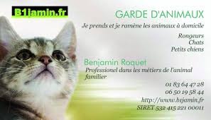 Comment renouveler mon annonce ? Garde D Animaux A Paris 15e Arrondissement 75015 Annonces Et Offres D Emploi