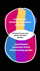Whats the difference between bi and pan. Here S A Venn Diagram I Made Explaining The Difference Between Bi And Pan I See A Lot Of My Fellow Bisexuals Being Panphobic And I Wanted To Make Sure I Ve Got This
