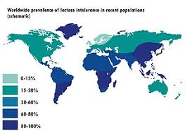 lactose intolerance wikipedia