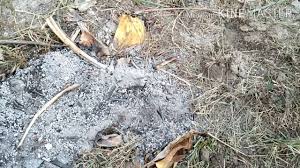 Organic goat fertilizer manure baja tahi kambing najis kambing baja organik shopee malaysia. Baja Bakar Dari Tahi Kambing Youtube