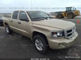 Maybe you would like to learn more about one of these? Dodge Dakota Slt 2011 Gold 3 7l Vin 1d7rw3gk7bs676344 Free Car History