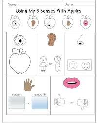 Activities For 5 Senses Apple Preschool Free Kindergarten Worksheets Senses