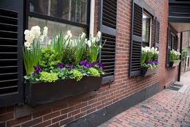 Shop with afterpay on eligible items. 32 Stunning Flower Box Ideas Arrangements Home Stratosphere