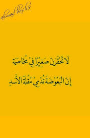 لا تحقرن صغيرا في مخاصمة ان البعوضة تدمي مقلة الاسد calligraphy arabic calligraphy qoutes