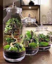 47 Innovative Diy Terrarium Ideas To Pep Up Your Home Decor Diy Succulent Terrarium Closed Terrarium Plants Terrarium Diy