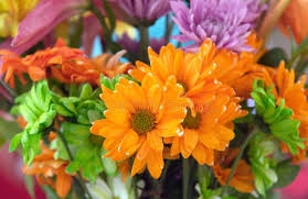 If you like splashing about in a kid's paddling pool at the age of 60, so be it! Flowers To Brighten Your Day Stock Image Image Of Petals Rainbow 104210619