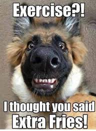 24 Funny Animals With Captions Lol Diybuddy Animal Jokes Funny Animal Memes Funny Animal Quotes
