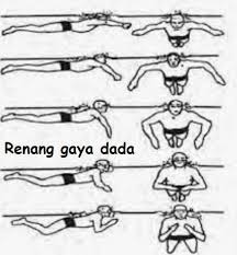 Check spelling or type a new query. Dalam Renang Gaya Dada Pada Saat Tubuh Hampir Sejajar Dengan Permukaan Air Kedua Paha Harus Brainly Co Id