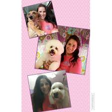 Get directions, reviews and information for puppy love mobile grooming in los angeles, ca. Pawsh Ultimutt Mobile Pet Grooming Tampa Fl