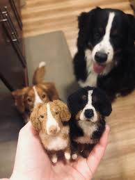 Their gait is fluid and smooth. This Artist Will Create A Felted Miniature Version Of Your Pet