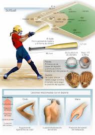 La confederación mundial de beisbol y softbol reveló el sistema que se utilizará para la disputa de este último pase para la cita olímpica Diferencias Entre Softbol Y Beisbol Deportiando