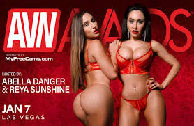 The Nominations For The 40th AVN Awards 