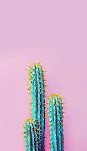 Iphone Wallpapers Cactus Iphone Wallpaper Pastel Iphone Wallpaper Bubbles Wallpaper Pastel Background Wallpapers