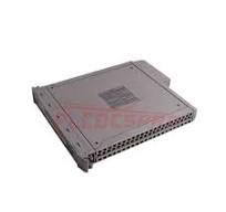 Ics Triplex T9191 Blanking Cover (Tall) For I/O Positions With No Ta Fitted