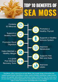 Pin On Sea Moss