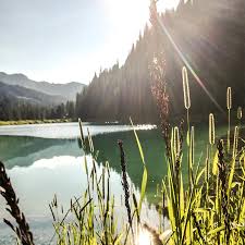 Sommer Im Kleinwalsertal Aktivurlaub In Vorarlberg Almhof Rupp