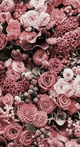 70 New Ideas Wallpaper Flowers Iphone Beautiful Flower Phone Wallpaper Trendy Flowers Flower Aesthetic
