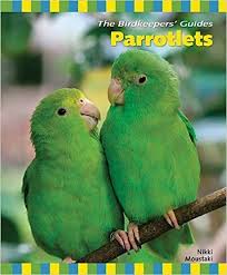 Whatsapp Groups Link To Join Top Whatsapp Group To Join Whatsapp Group Link List Whatsapp Invite Links Whatsapp Group Join Me Parrotlet Bird With Big Beak Bird