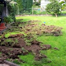 Die schlechte nachricht ist also, dass wildschweine nicht einfach vom besuch im garten abzuhalten. Nachrodt Wiblingwerde Wildschweine Komposthaufen Nachrodt Wiblingwerde