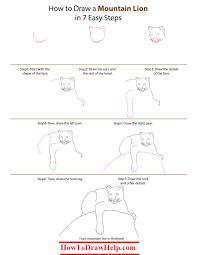 How To Draw A Mountain Lion Step By Step Tutotrial Mountain Lion Drawings Animal Drawings