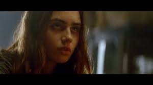 Amazon.com: The Shadowhunter's Codex (The Mortal Instruments):  9781442416925: Clare, Cassandra, Lewis, Joshua, Various: Books