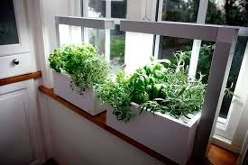 Check spelling or type a new query. Can Compost Be Used In Containers And Indoor House Plants Do Not Disturb Gardening