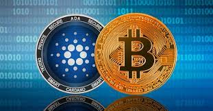 The cardano wallet also remains one of the safest ever unveiled in the crypto eco. Cardano Vs Bitcoin Which Is The Better Asset To Buy In September 2020