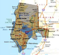 Palm harbor pest control pros offers pest control services for your property in palm harbor fl. Services Couch S Pest Patrol