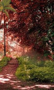 Check spelling or type a new query. 15 Nature Free Wallpaper For Android Basty Wallpaper