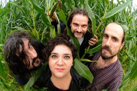 Image result for Zea mays