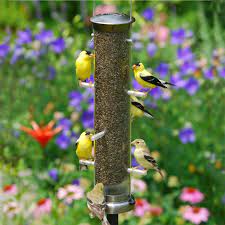 Pin On Bird Feeders