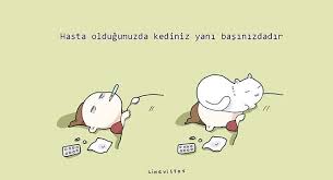 Kedi Miriltisinin Tedavi Edici Gucu
