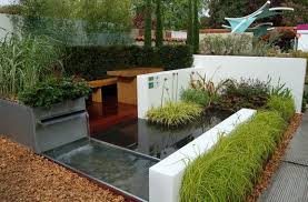 Rendered Wall Architectural Planting Back Garden Design Architectural Plants Garden Design