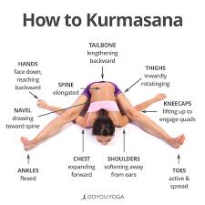 Doyouyoga On Twitter Yoga Asanas Advanced Yoga Yoga Help