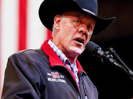 Mindy Koch, Democratic Chair in MAGA-Friendly Palm Beach Resigns in Protest