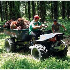 Online mapdynamic earth resources sdn bhd map & directions. Erreppi Agricultural All Terrain 4 Wheel Drive Multipurpose Vehicle 11 Hp Transporter Buffalo Mkii Erreppi Asia Malaysia Sdn Bhd
