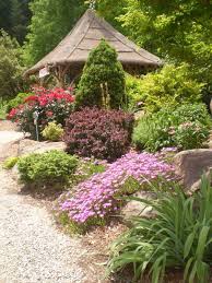 Water Gardens Tree Plant Nursery Garden Center Durham Nc Trees To Plant Plants Garden Trees