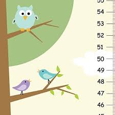 Amazon Com Nature Owl Canvas Children Growth Chart