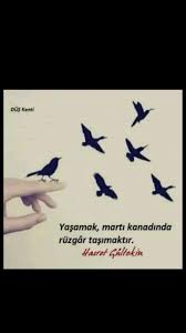 Yasamak Marti Kanadinda Ruzgar Tasimaktir Hasret Gultekin Motivasyon Alintilari Alintilar Guzel Soz