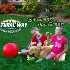 , has been providing the highest quality tree service in and around the denver metro area for over 20 years. Natural Way Lawn Tree Service 12 Photos 37 Reviews Landscaping 2481 Brown Rd Lake Orion Mi Phone Number